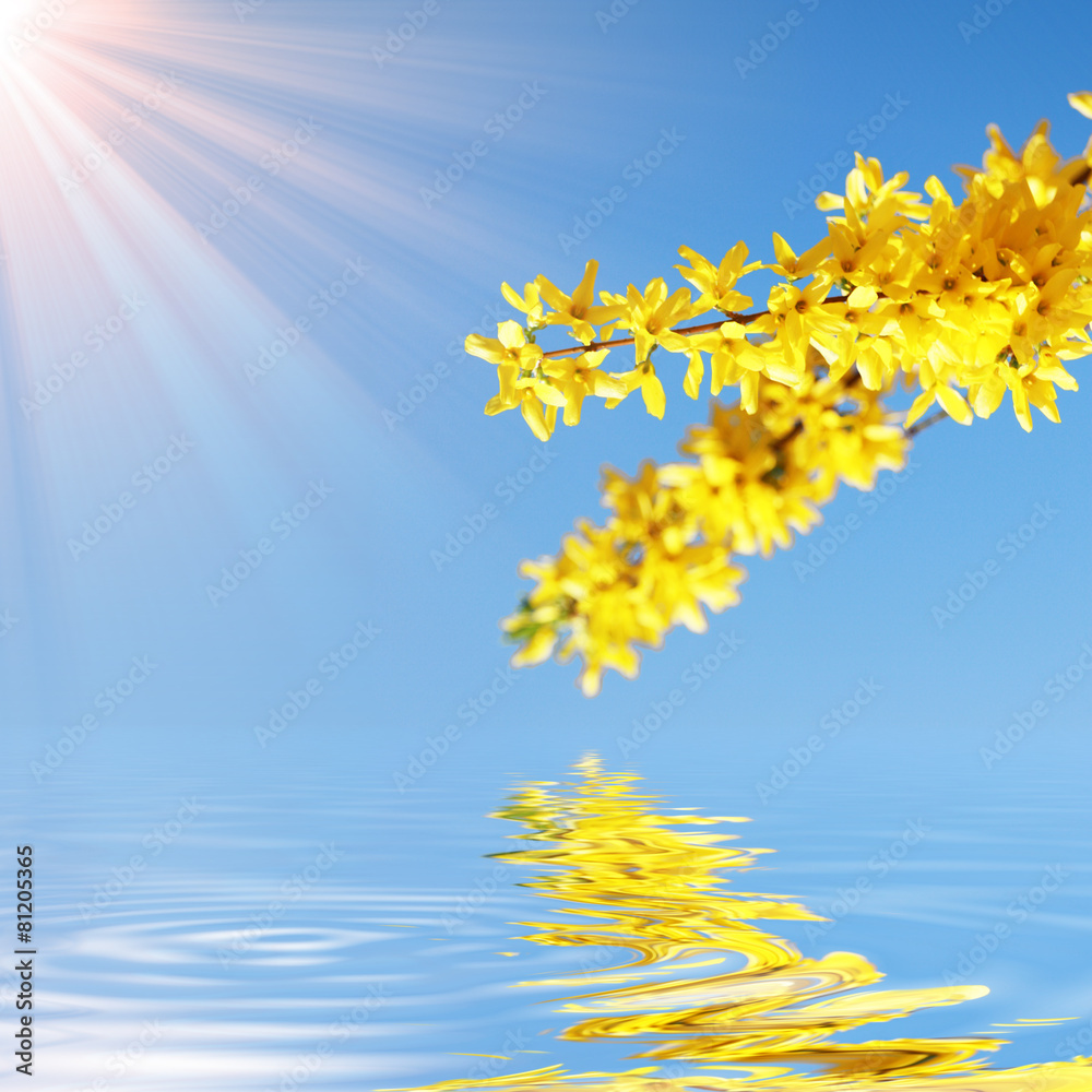 Obraz premium Der Frühling ist da