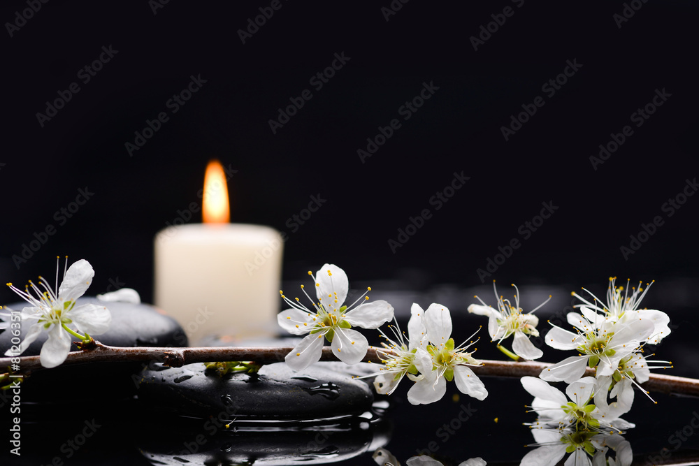 branch with blossoms. with white candle on black stones