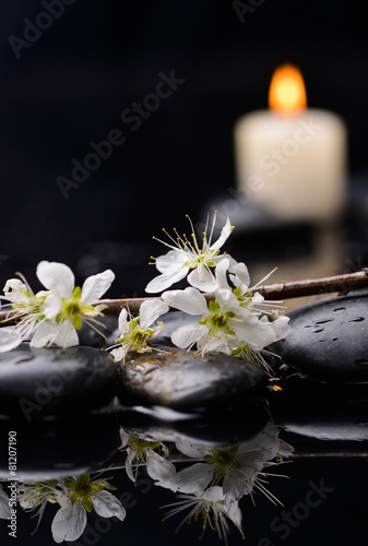 Set of branch with blossoms with white candle