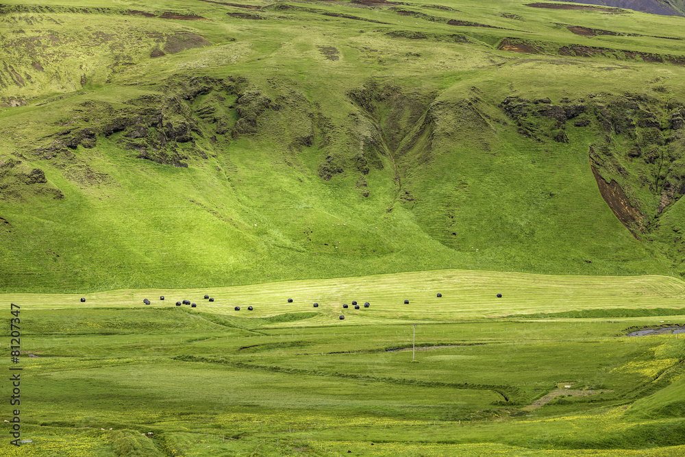 Typical Icelandic mountain landscapes