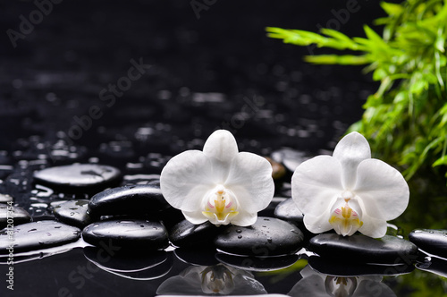 Still life with white orchid and bamboo leaf   black stones