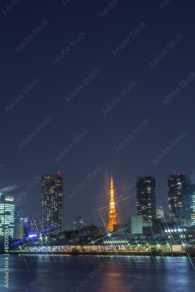 高層ビル群と東京タワーの夜景