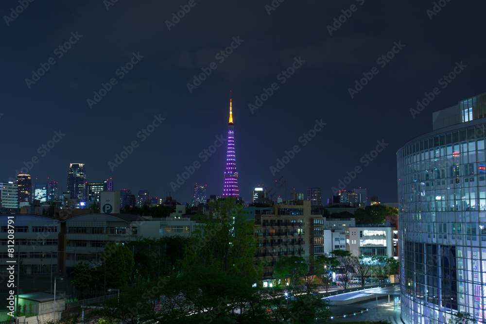 Fototapeta premium 東京タワーとビル群の夜景
