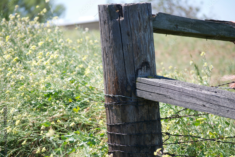 Fototapeta premium Fence Post