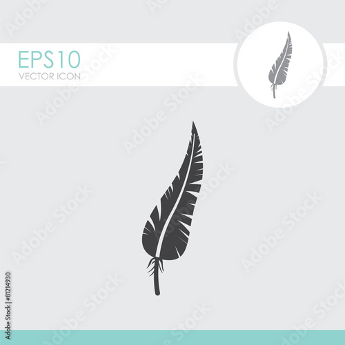 Feather vector icon.