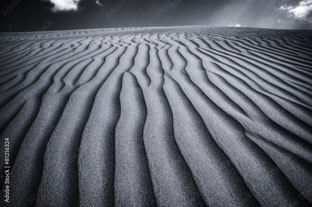 Wide Tranquil Empty Desert in Monochrome Color