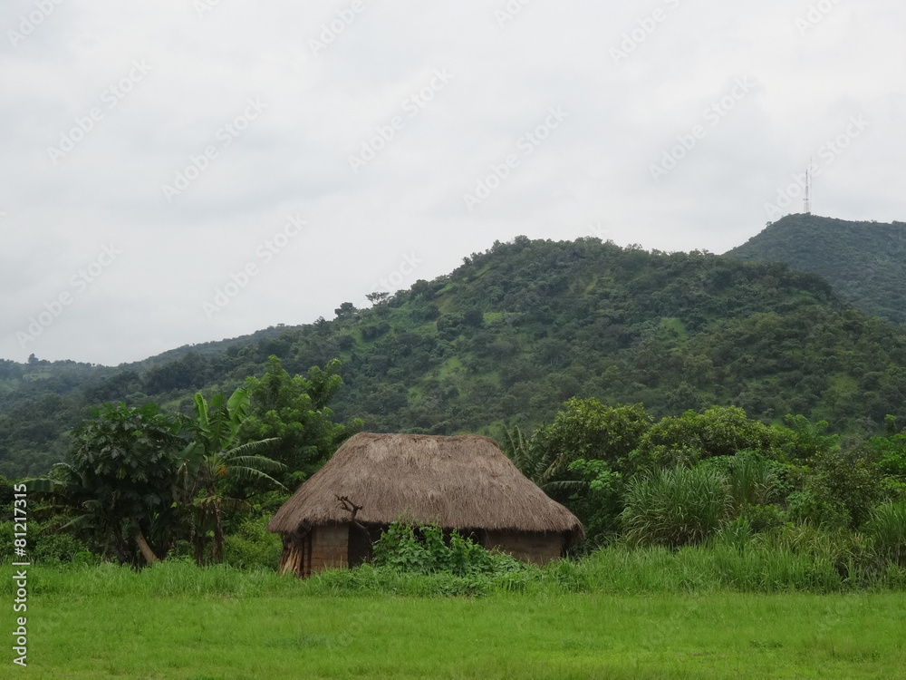 African Village Landscape
