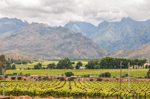 View of vineyards and mountains in the Hex River Valley