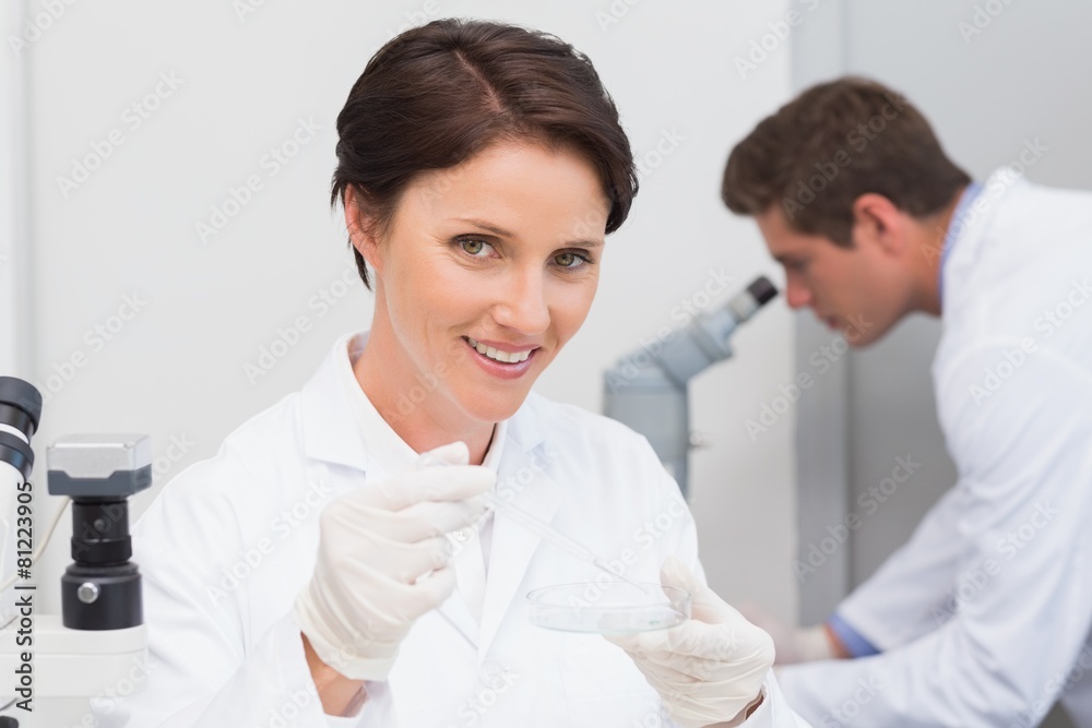 Scientists working attentively Scientists working attentively