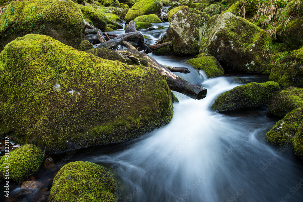 Stream in old forest, blurred water in fast motion Stream in old forest, blurred water in fast motion