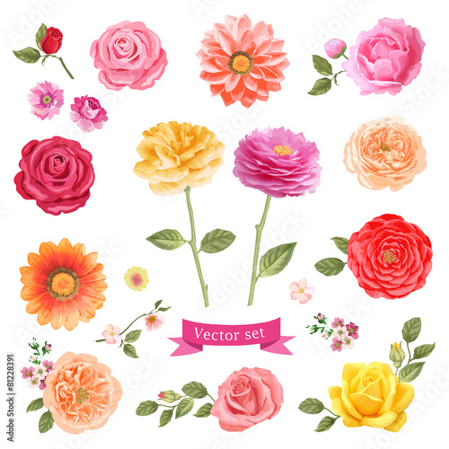 Fototapeta Naklejka Na Ścianę i Meble -  Flowers set vector