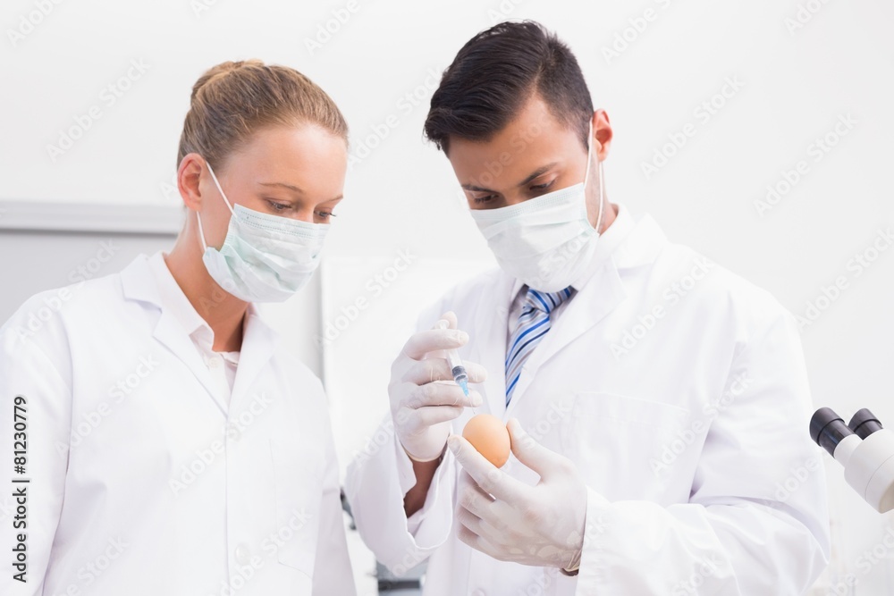 Scientists injecting an egg Scientists injecting an egg