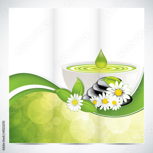 Spa brochure