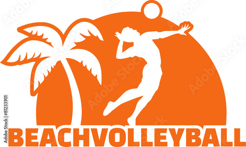 Beach Volleyball Player with Palm