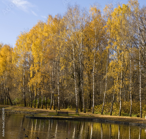 Autumn landscape photo