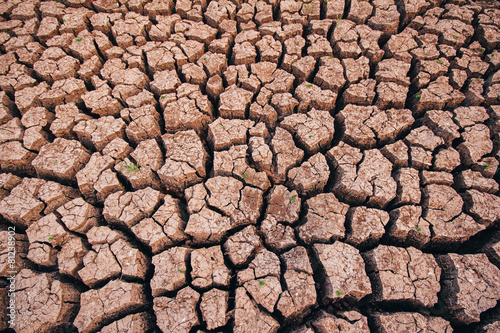 soil arid , season water shortage