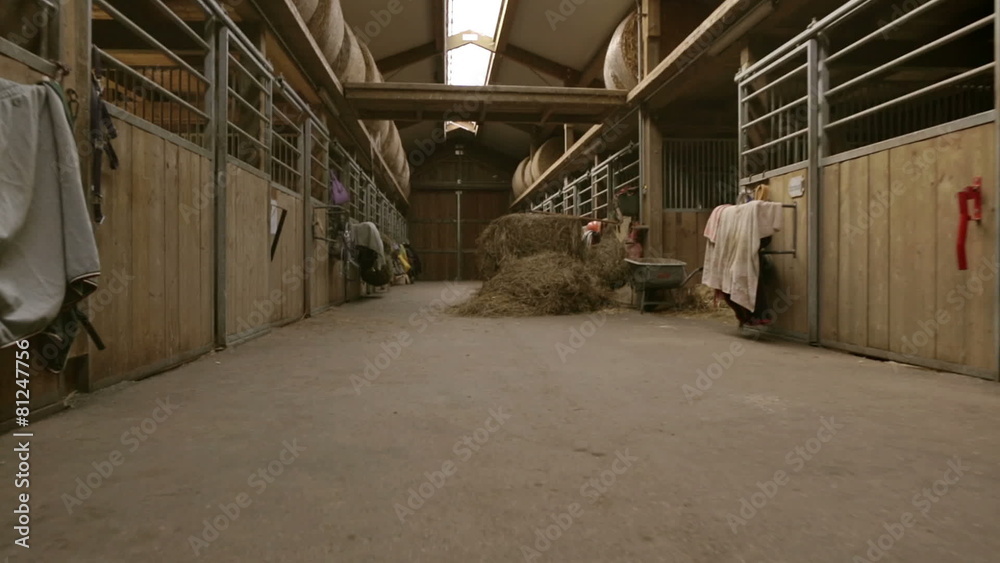 walking through horse stable
