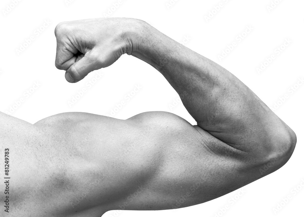 Obraz Strong male arm shows biceps. Close-up black and white