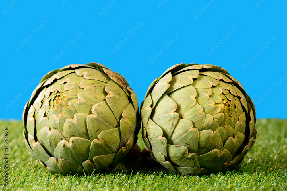Fototapeta premium two big artichokes