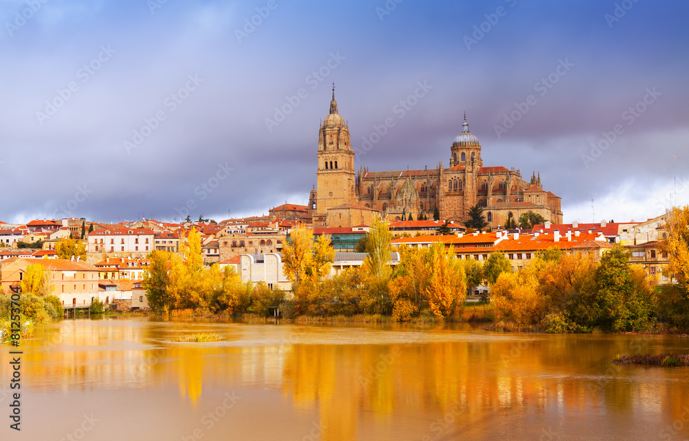 Salamanca Cathedral   in november.