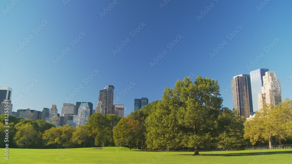sunny day in central park sunny day in central park