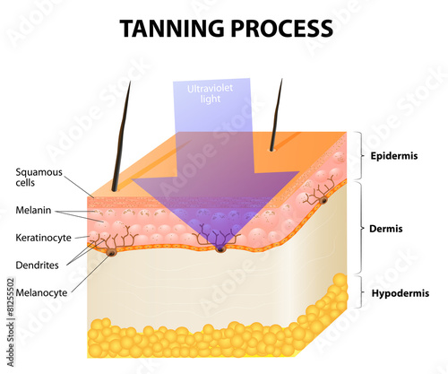 Tanning process