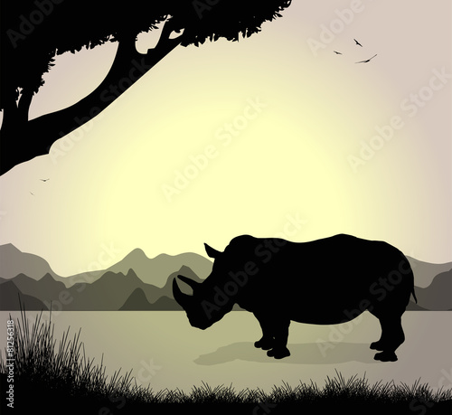 silhouette di rinoceronte © passiflora70