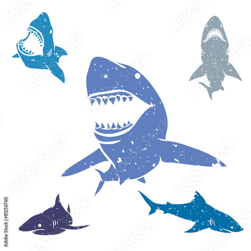 Set of Sharks