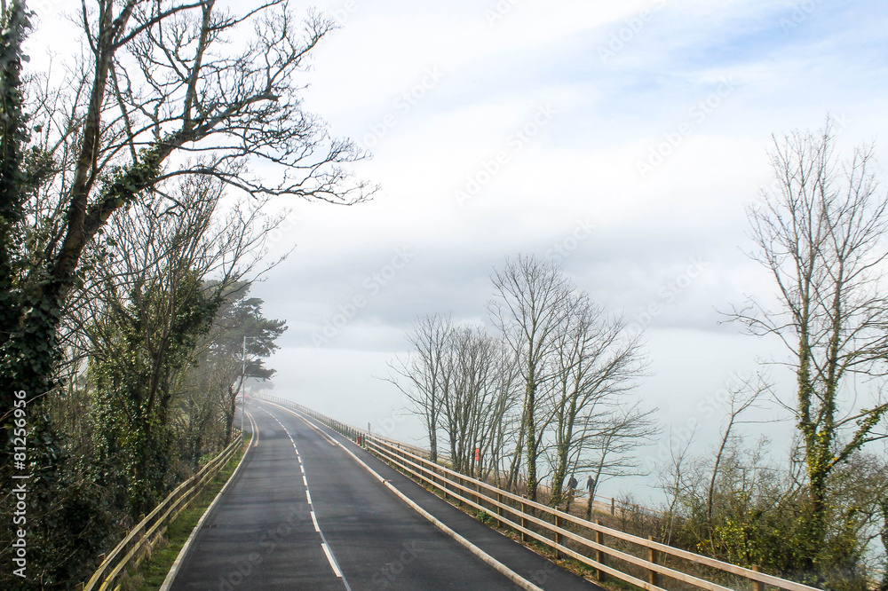 Fototapeta premium Foggy Road Isle of Wight