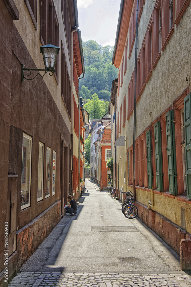 Fototapeta premium Narrow sunny street in Heidelberg