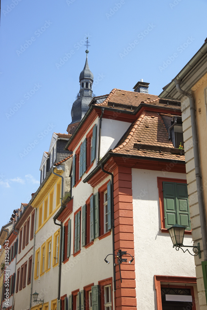 Walls of picturesque houses in Heidelberg
