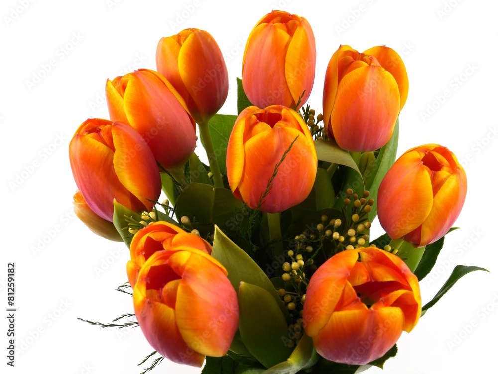 A close up of bright flowering spring tulips in orange A close up of bright flowering spring tulips in orange