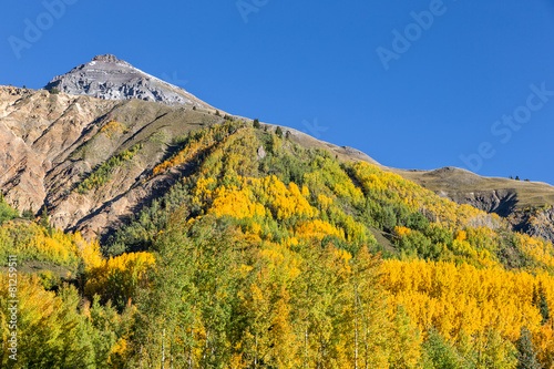 Colorado Autumn Landscape