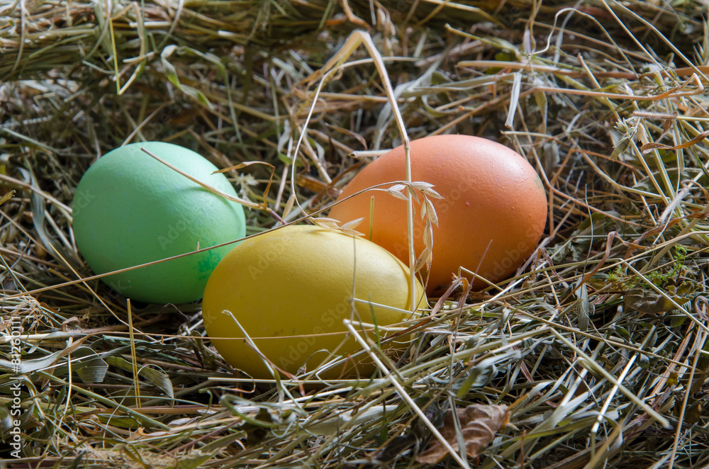Obraz premium Ostereier
