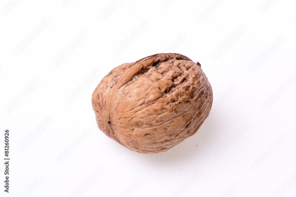 Walnut isolated on the white background Walnut isolated on the white background