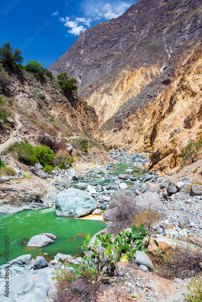 Green River in Colca Canyon