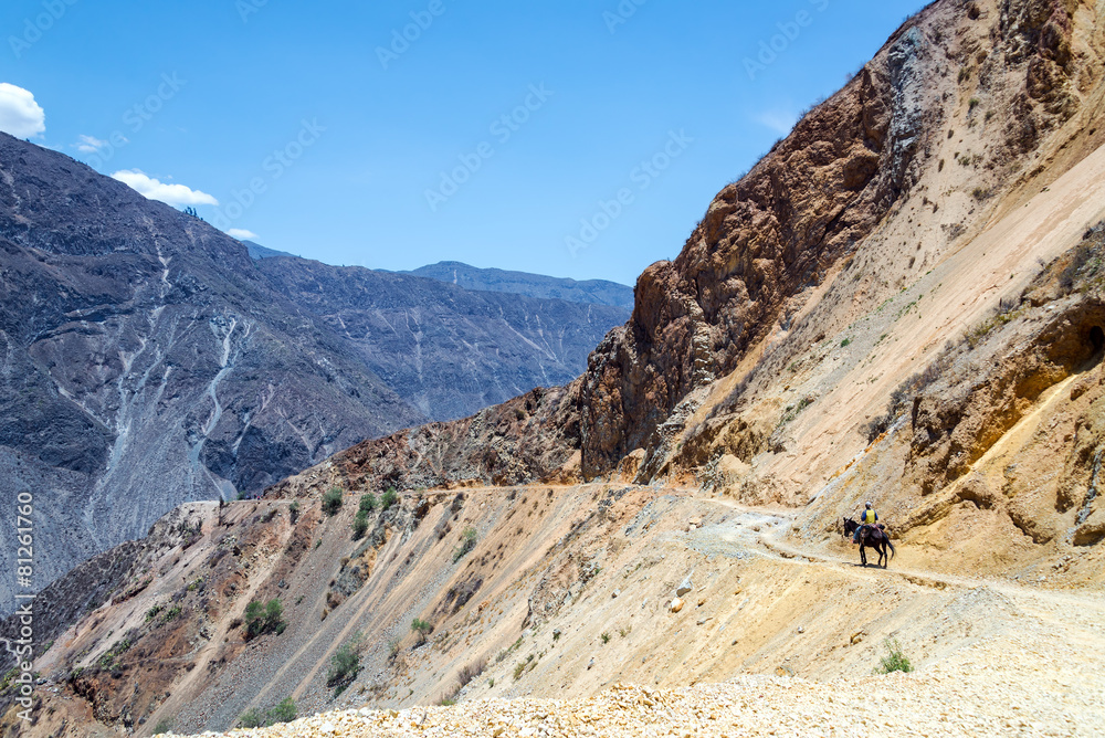 Horse and Rider in Colca Canyon