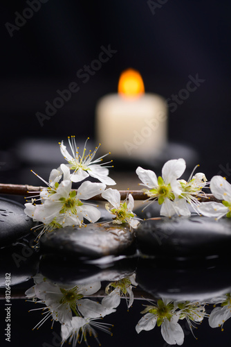 Set of cherry blossom with white candle on black stones