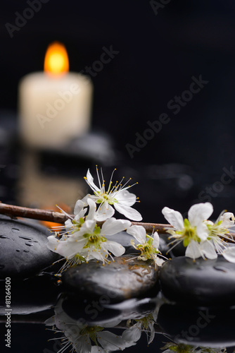 Still life with cherry blossom with candle  stones