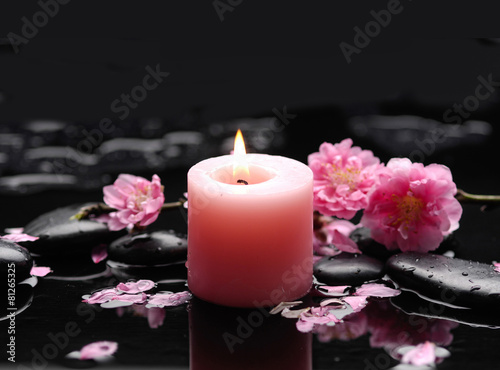 pink cherry blossom with candle on black stones