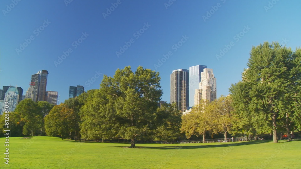 pan shot over meadow and skyscrapers pan shot over meadow and skyscrapers