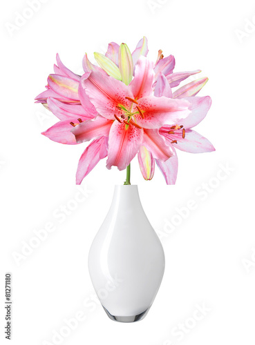 Beautiful pink lily in vase isolated on white background © wolfelarry