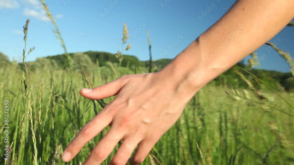 Woman walking touching long grass in field in summer on blue sky
Woman walking touching long grass in field in summer on blue sky