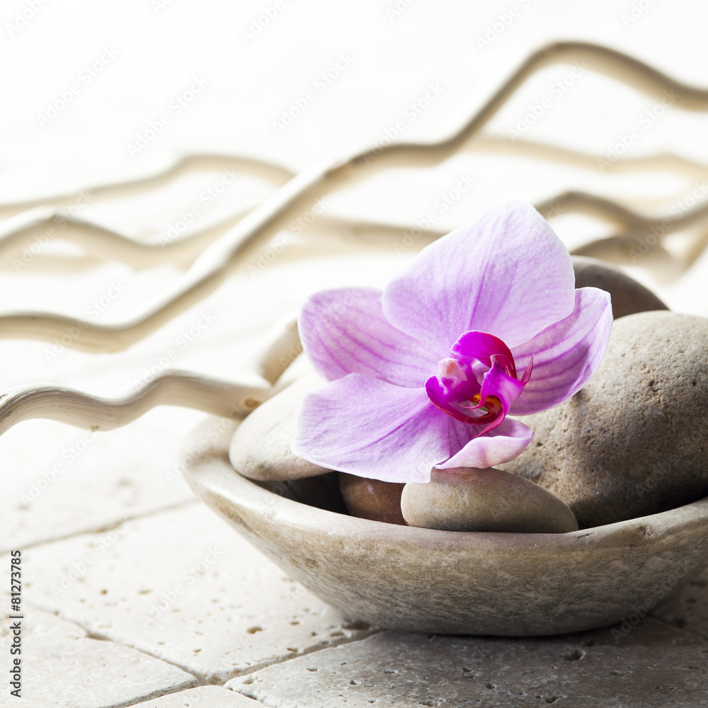 zen attitude with mineral cup of stones and flower zen attitude with mineral cup of stones and flower