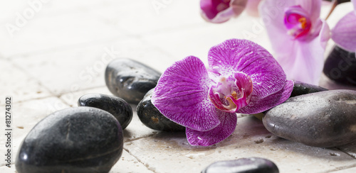 zen still-life with massage stones and orchid flowers