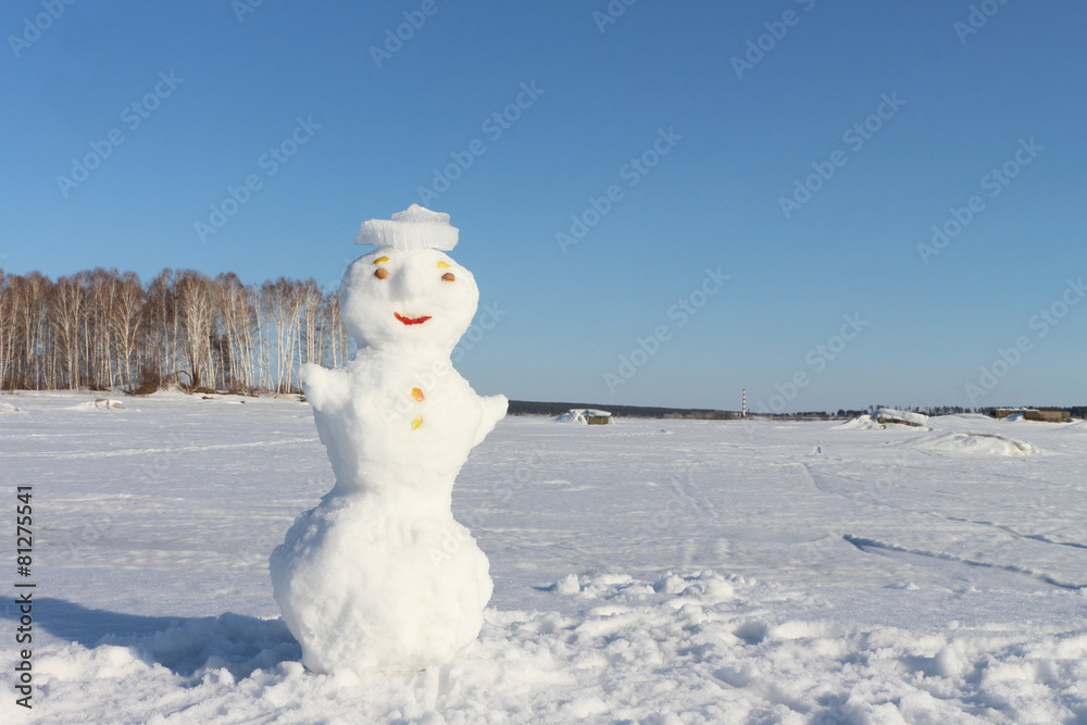 Obraz premium Snowman
