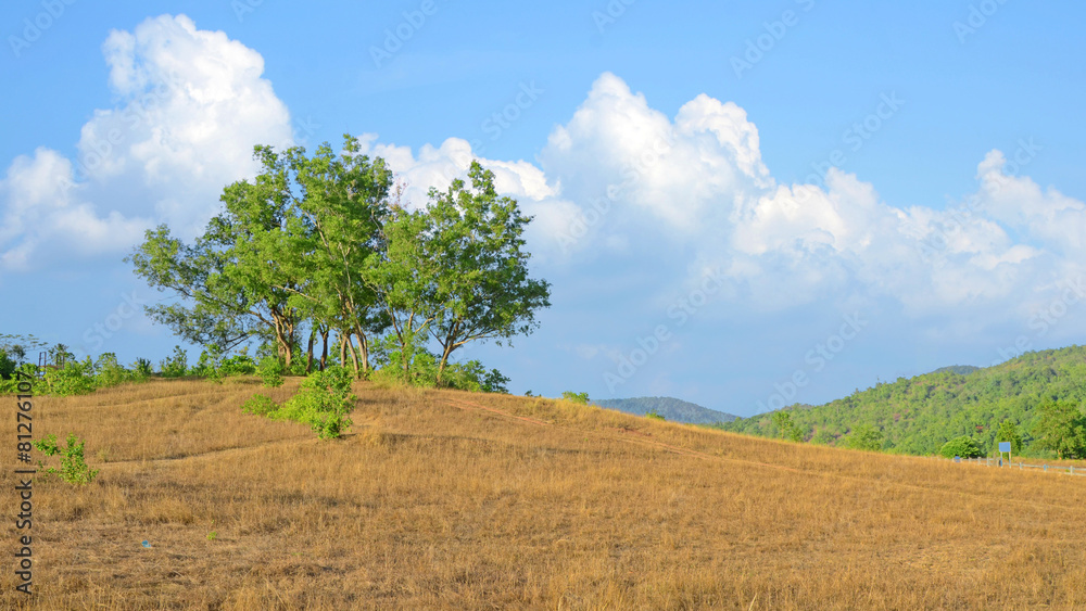 Scenic of Bald Mountain and Grass Mountain with Blue Sky. Scenic of Bald Mountain and Grass Mountain with Blue Sky.
