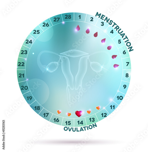 Beautiful light blue menstrual cycle graphic