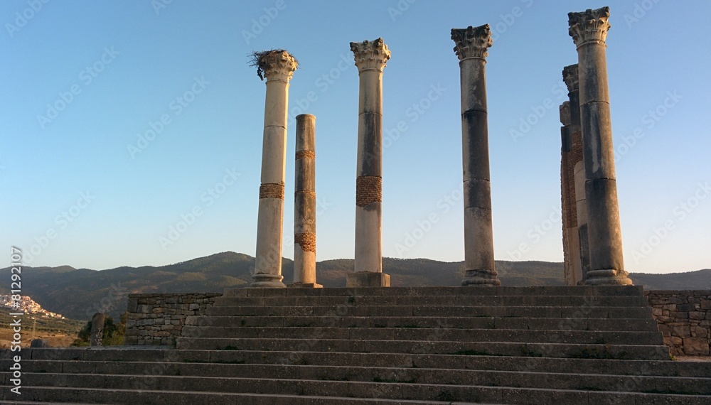 Fototapeta premium Волюбилис