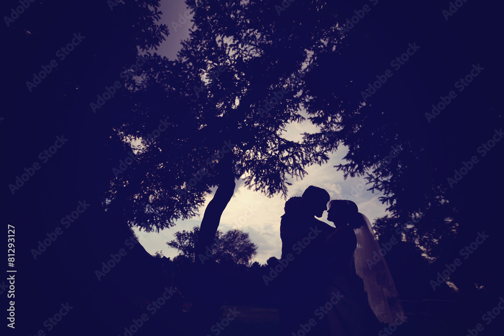 Silhouettes of a bride and groom in the park